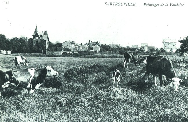 IMG/jpg/yv-fdt-5-sartrouville-1910.jpg