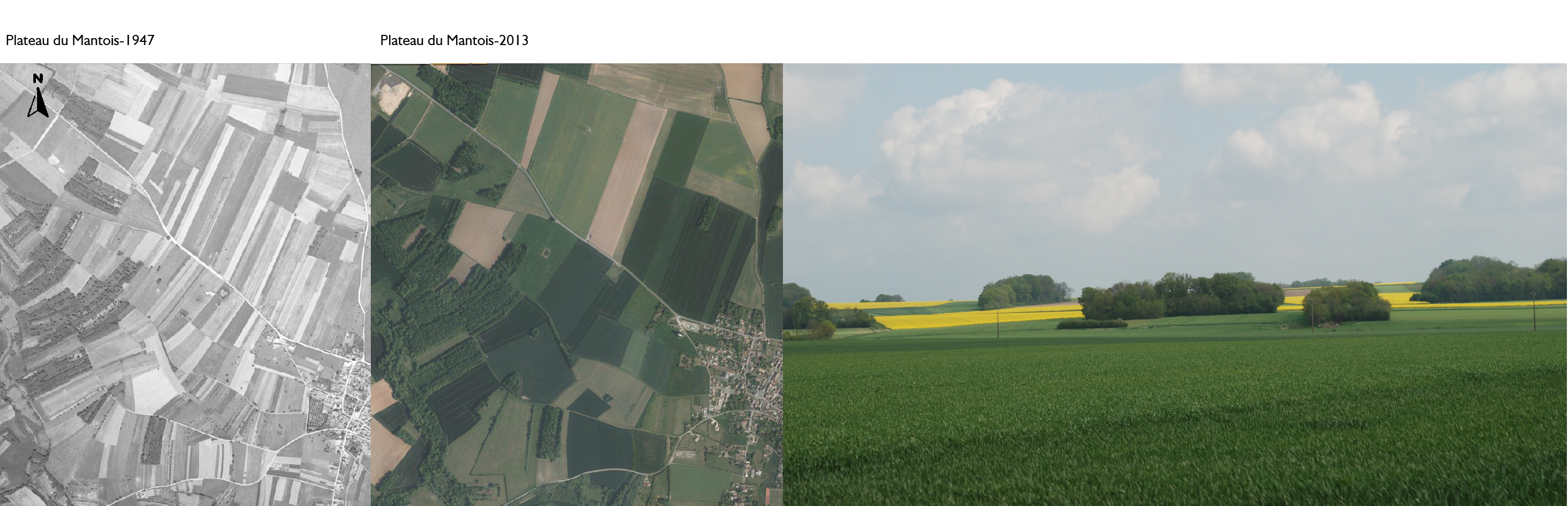 Les bosquets en bandes boisées, qui émaillent et valorisent les paysages et la biodiversité du plateau, notamment dans sa moitié ouest, sont souvent hérités des anciennes parcelles fruitières en lanières, comme en témoigne cette comparaison de photographies aériennes en 1947 et aujourd’hui, vers Dammartin-en-Serve