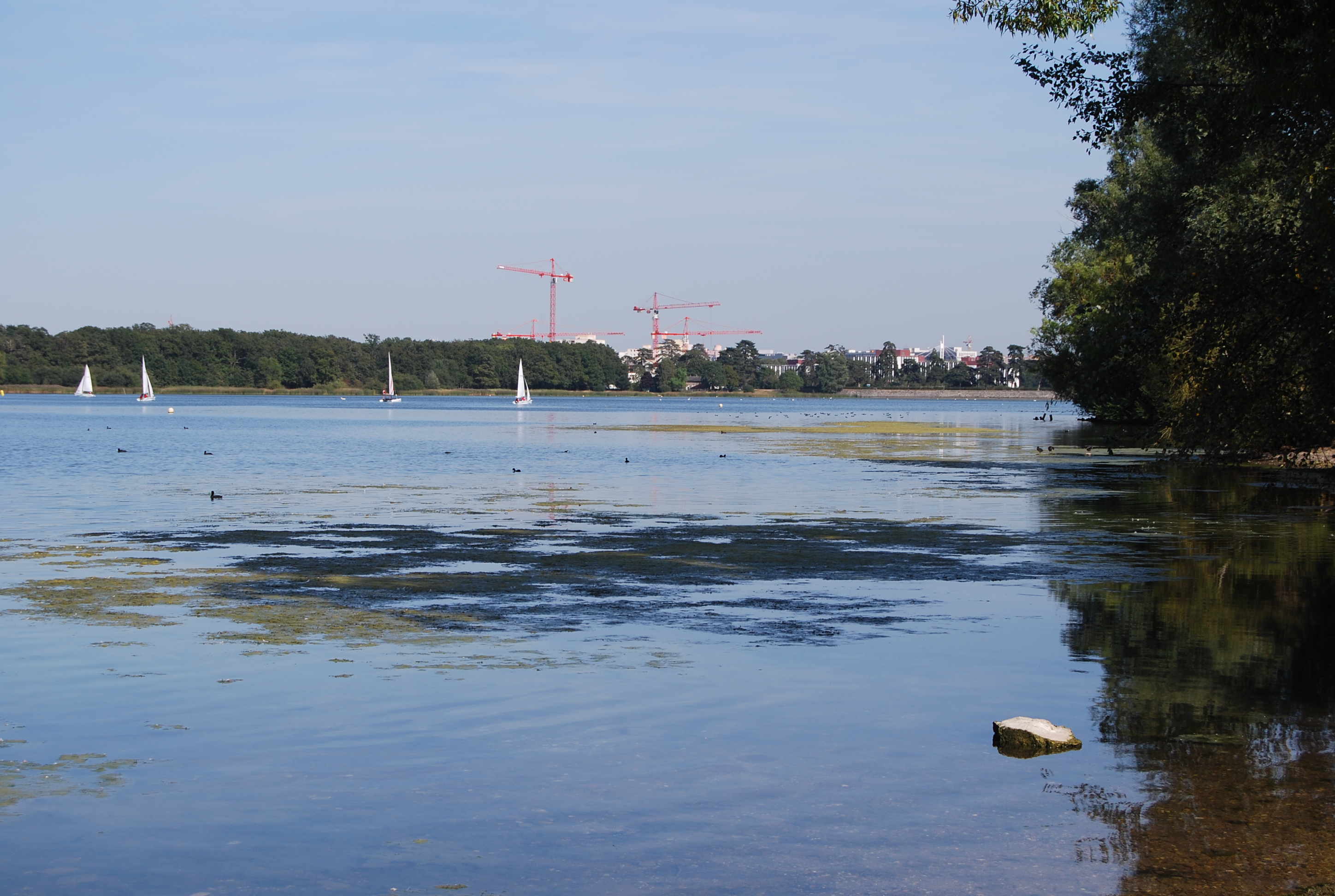 La base de loisirs de Saint-Quentin, développée autour de l’étang créé au XVIIe siècle pour alimenter en eau les jardins de Versailles
