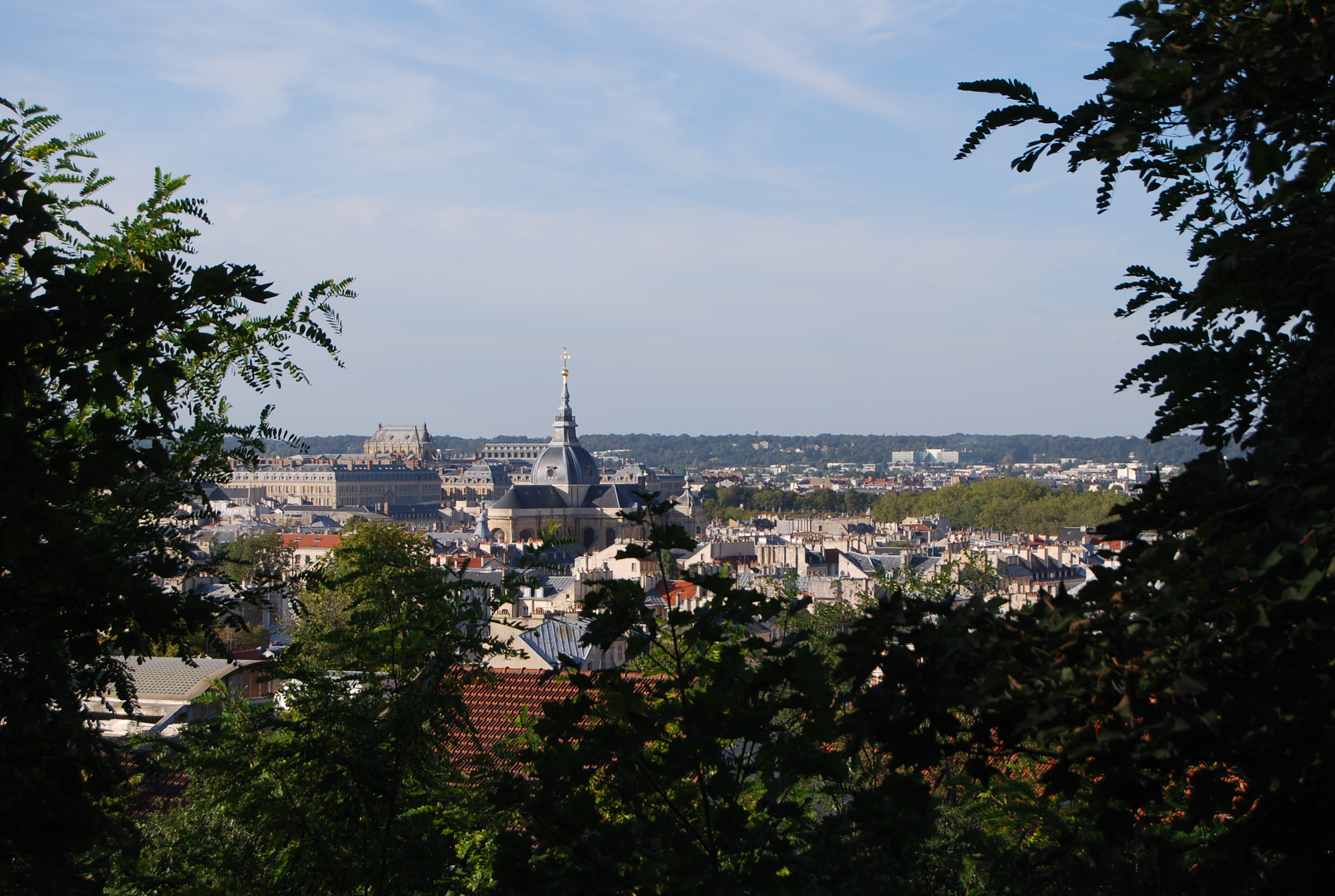 Les bois de Satory masquent les vues sur Versailles, toute proche