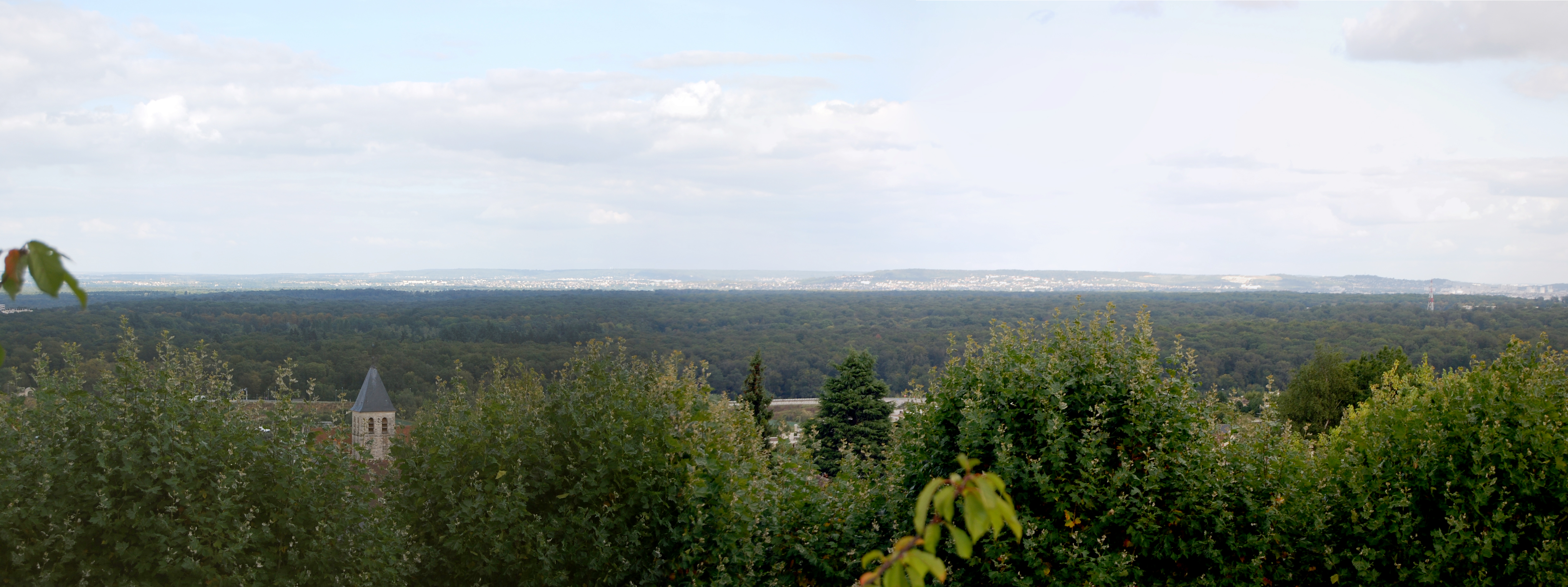 Vue sur la forêt de Saint-Germain-en-Laye, depuis les hauteurs de Chambourcy