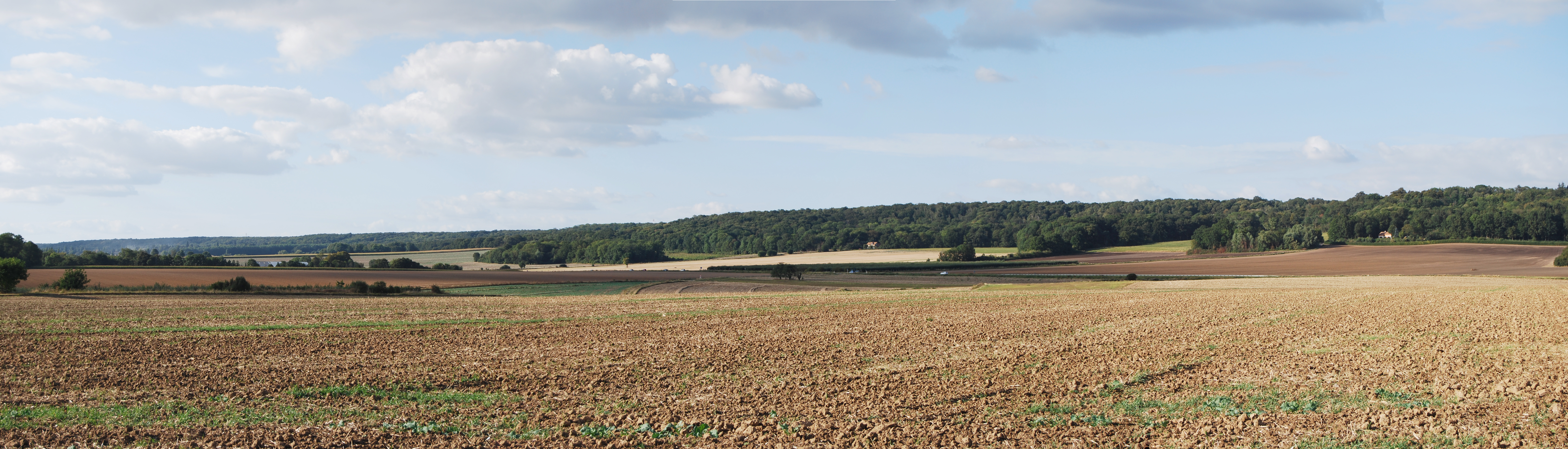 L’élégant rebord boisé de la plaine, déroulé entre Herbeville et Feucherolles, en contrebas du plateau agricole des Alluets-le-Roi