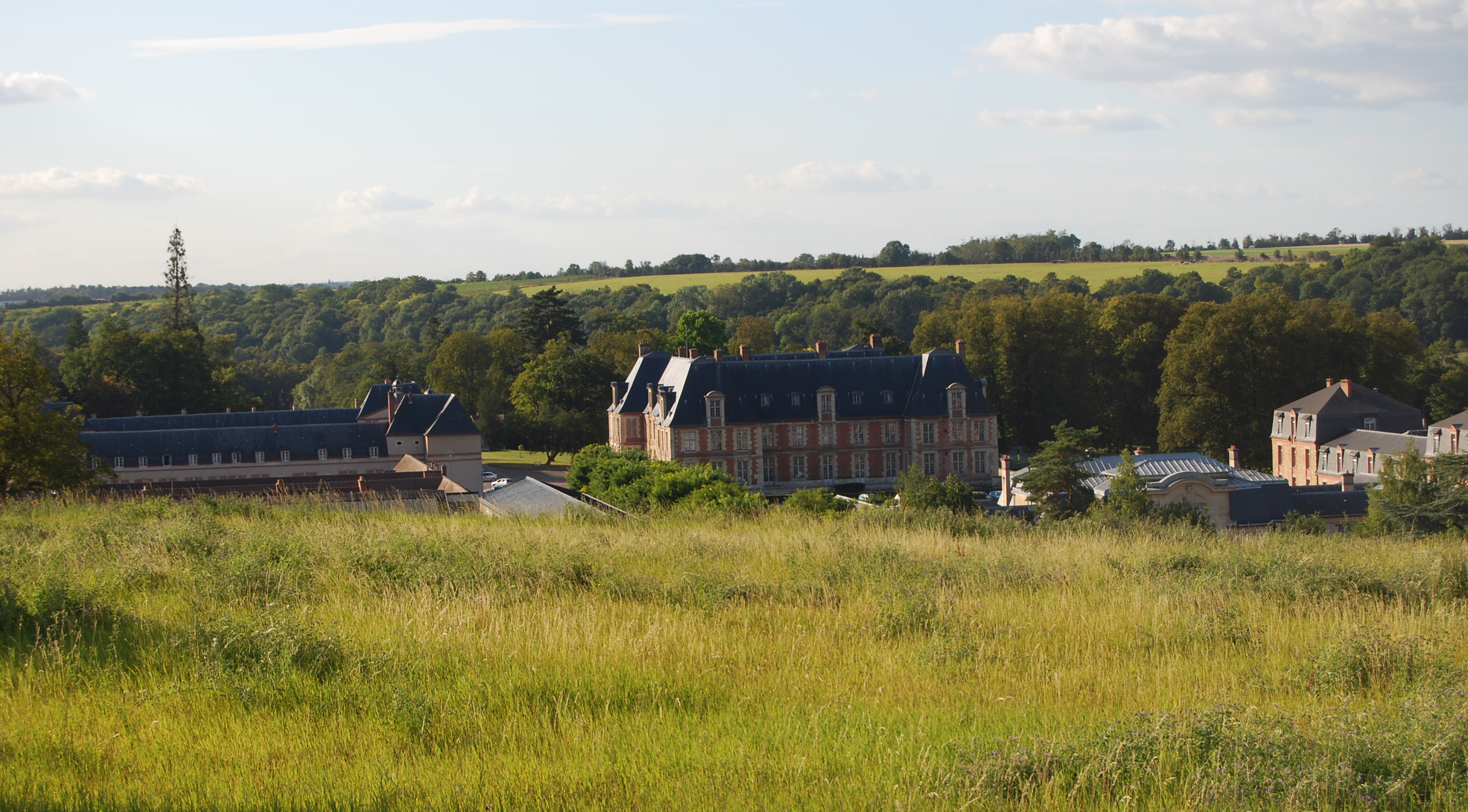 Le château de Grignon, discrètement niché dans le val de Gally