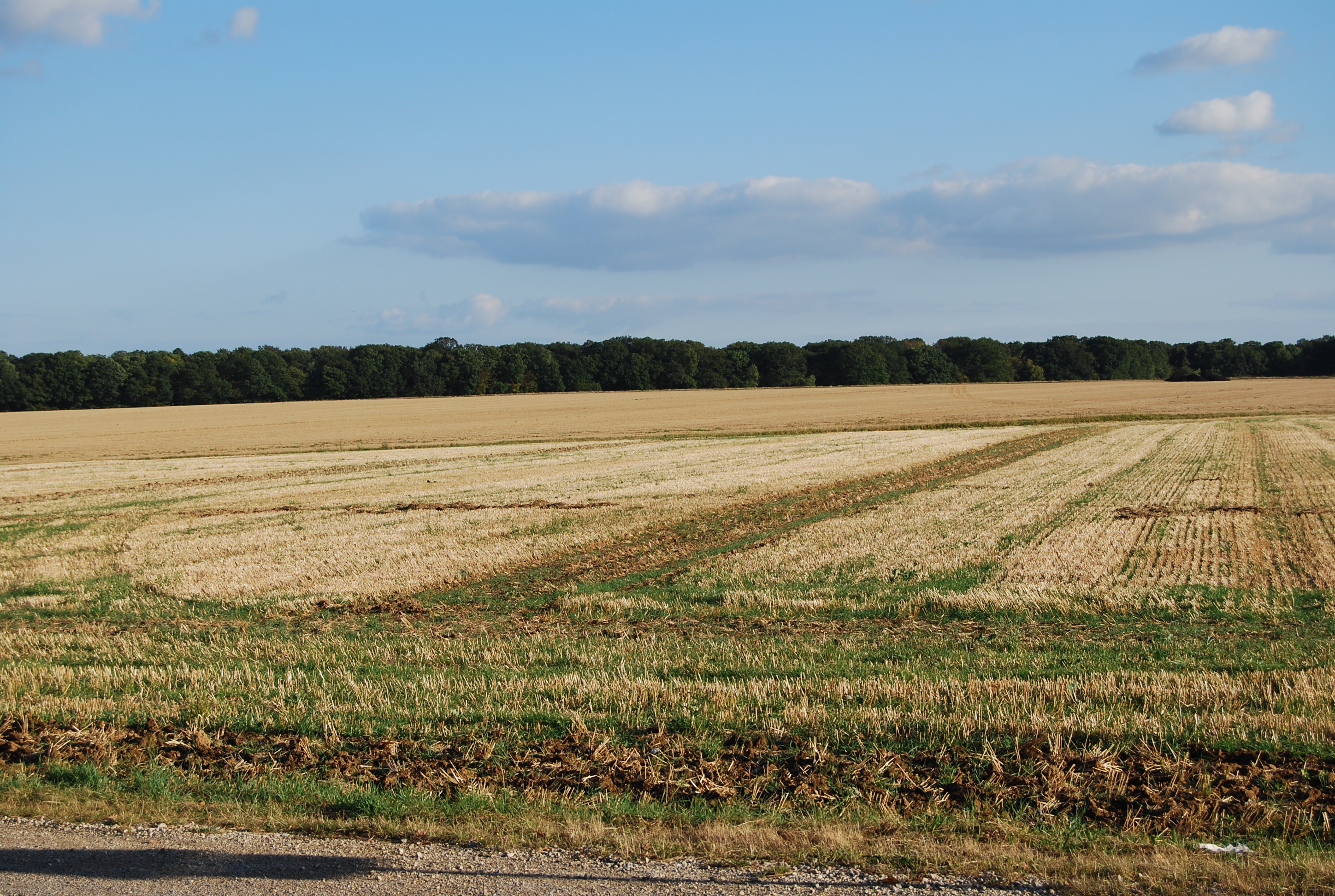 Les frondaisons de la forêt départementale de Sainte-Apolline dissimulent la ville nouvelle de Saint-Quentin-en-Yvelines depuis Neauphle. Vue de la RD 11