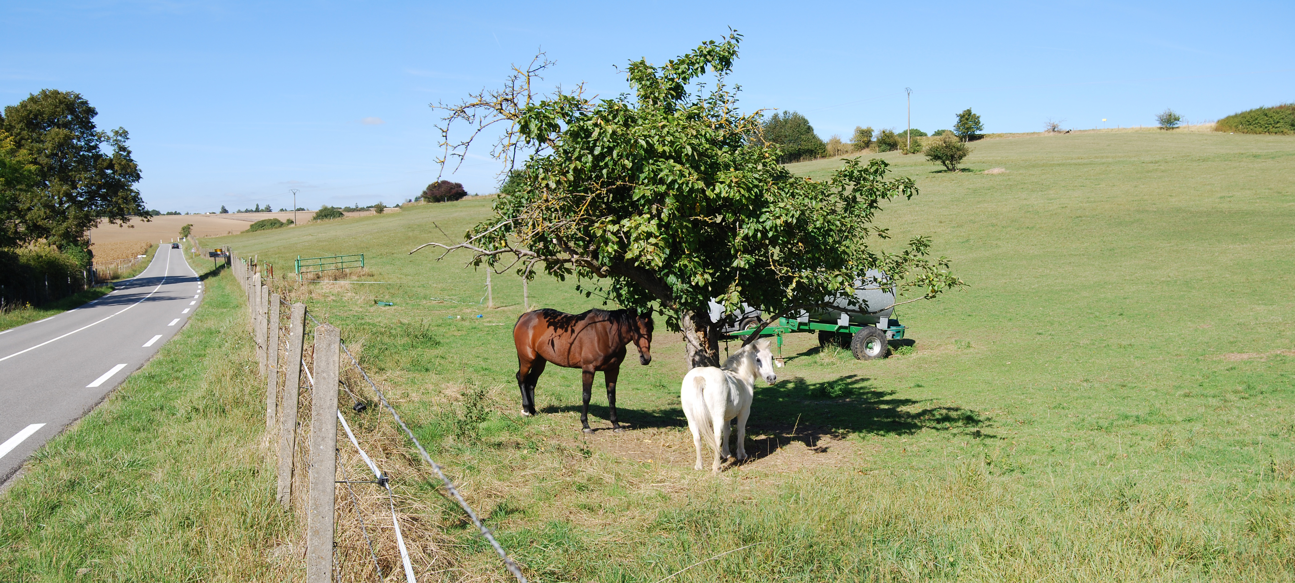 Les vallons, un paysage dans le paysage, grâce aux plis de terrain et à une occupation du sol plus diversifiée que dans la plaine. Ici une prairie à chevaux sur la pente du val de Gally, à Rennemoulin