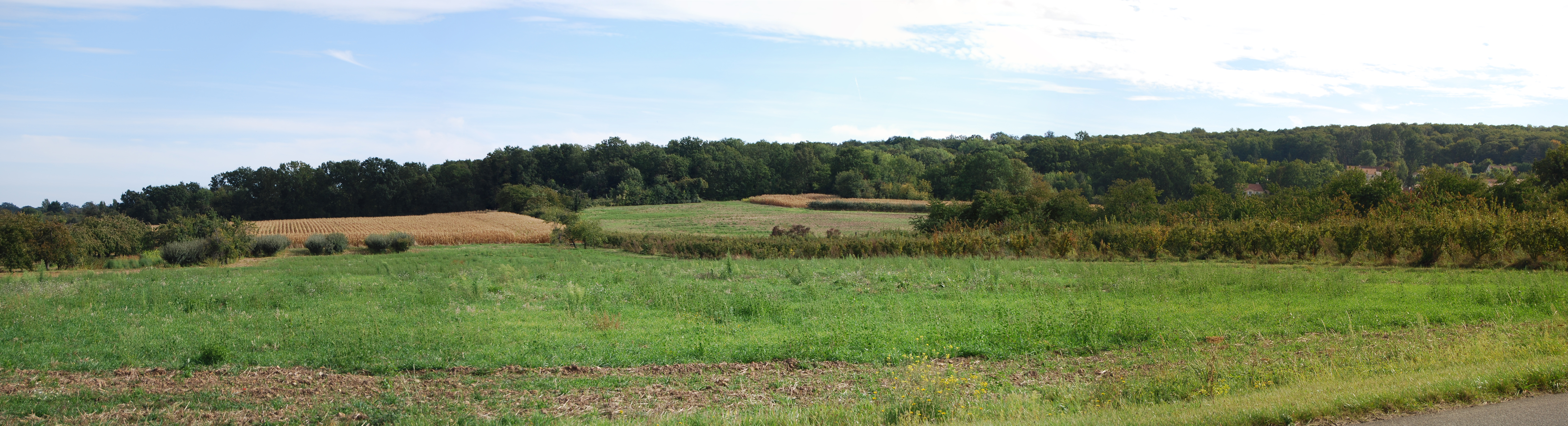 Les pentes de la butte de Marsinval, côté Vernouillet, sont riches de structures paysagères diversifiées