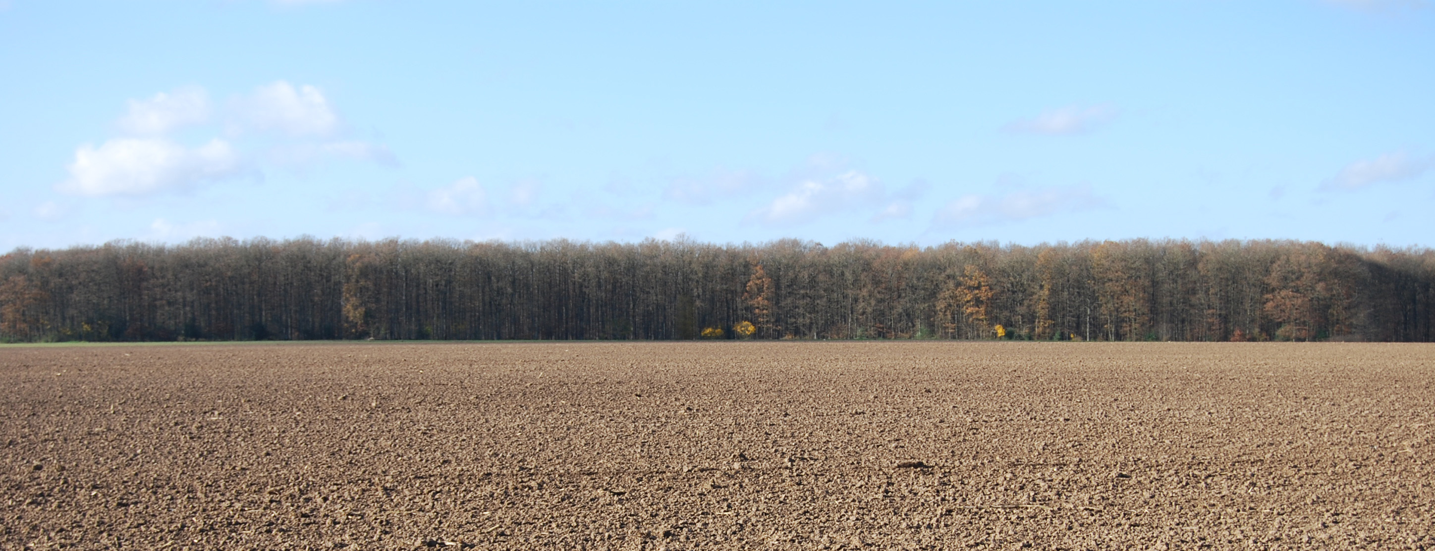 Des plateaux agricoles fertiles vastes, aplanis et ouverts, mais souvent bordés d’horizons boisés qui évitent la monotonie. Ici au-dessus de Dampierre