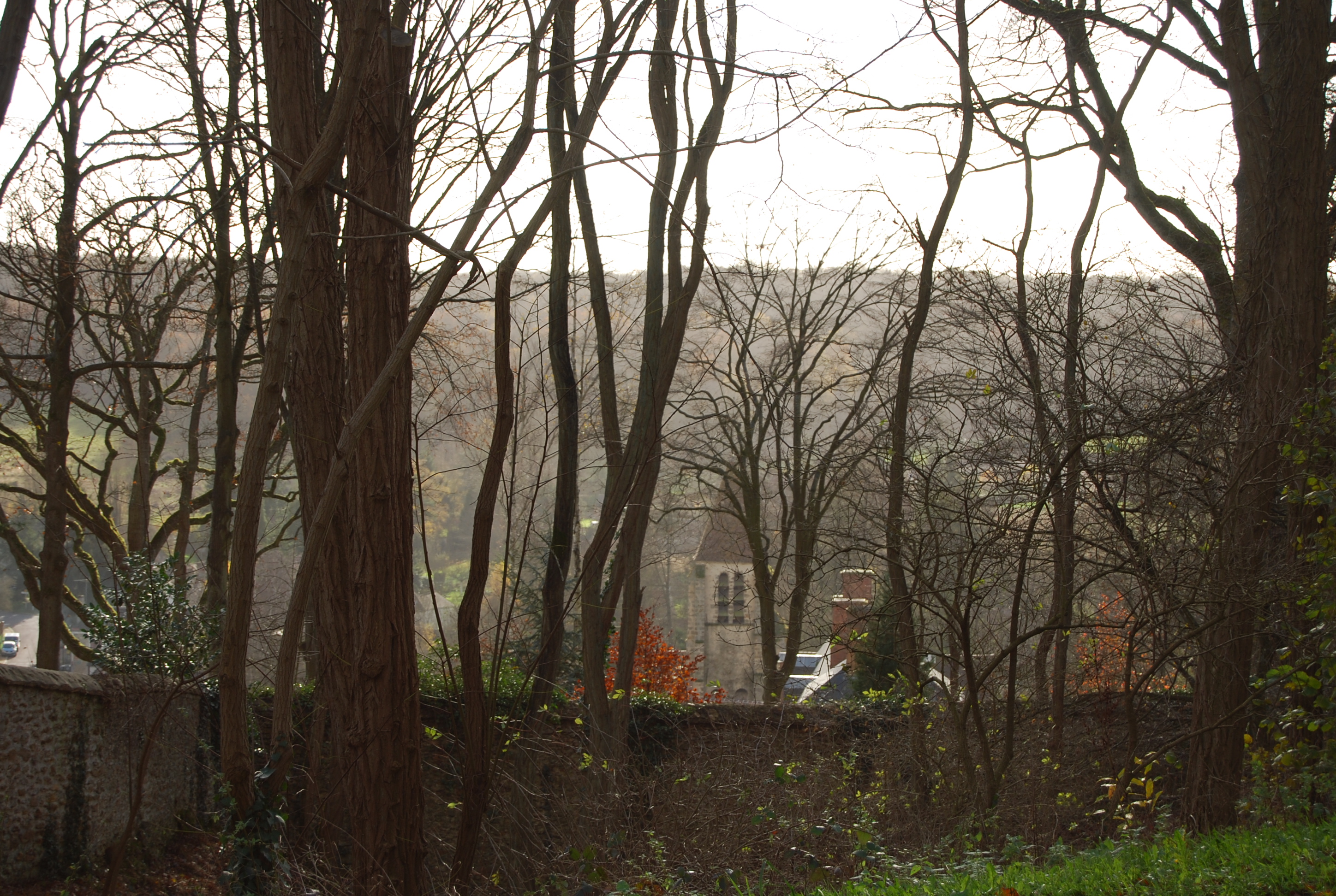Une vue sur la Celle-les-Bordes, bouchée par les arbres