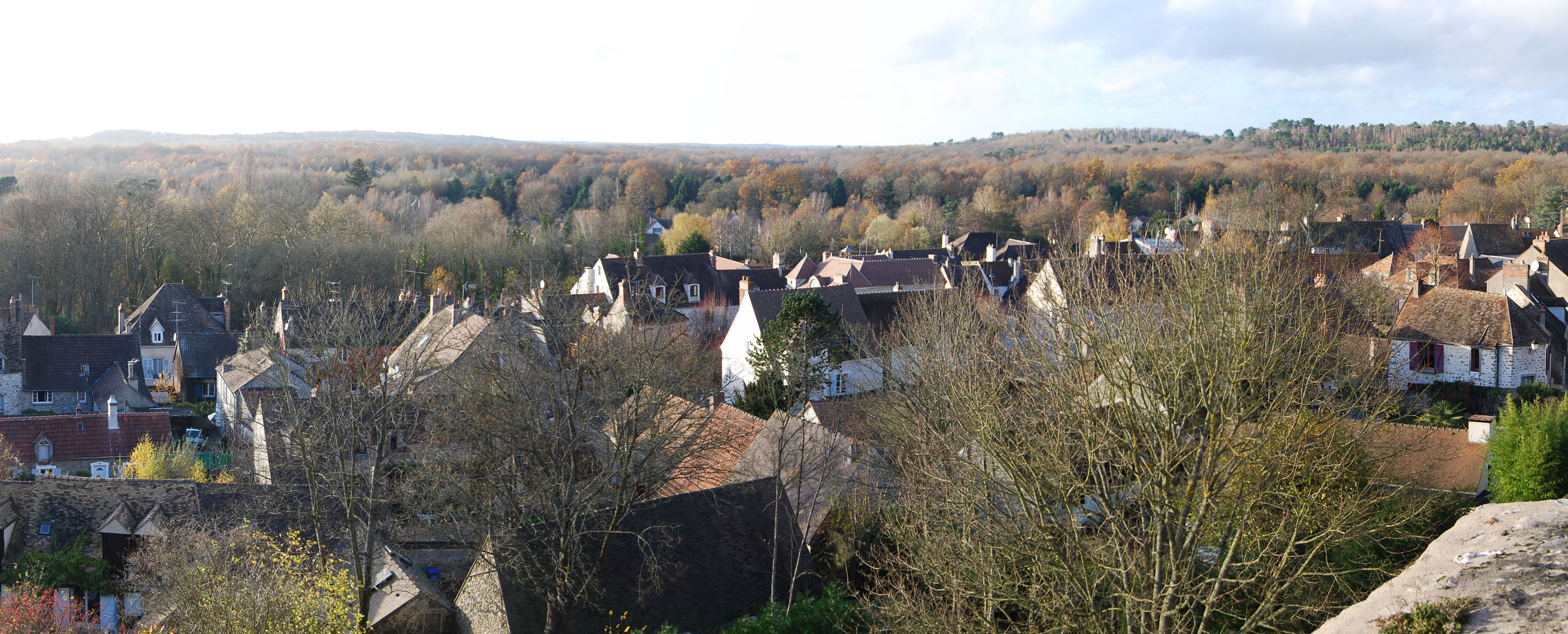 Immensité forestière aux portes de l’agglomération parisienne : la forêt de Rambouillet vue depuis Rochefort-en-Yvelines