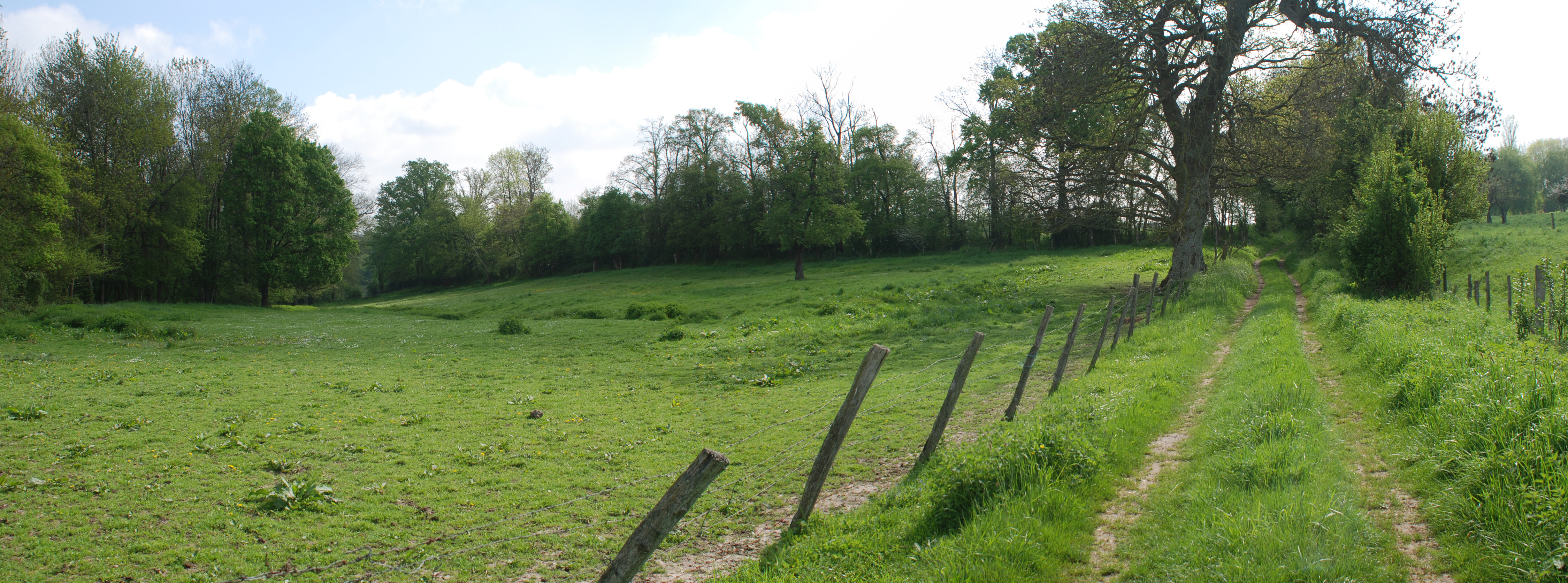 Le modeste pli de la naissance du ravin des Vallorées, à Saint-Illiers-la-Ville, suffit à valoriser remarquablement le paysage du plateau, grâce aux ambiances plus intimes et plus fraîches qui se dégagent, liées à la présence conjuguée de vallonnement, de pâtures et d’arbres