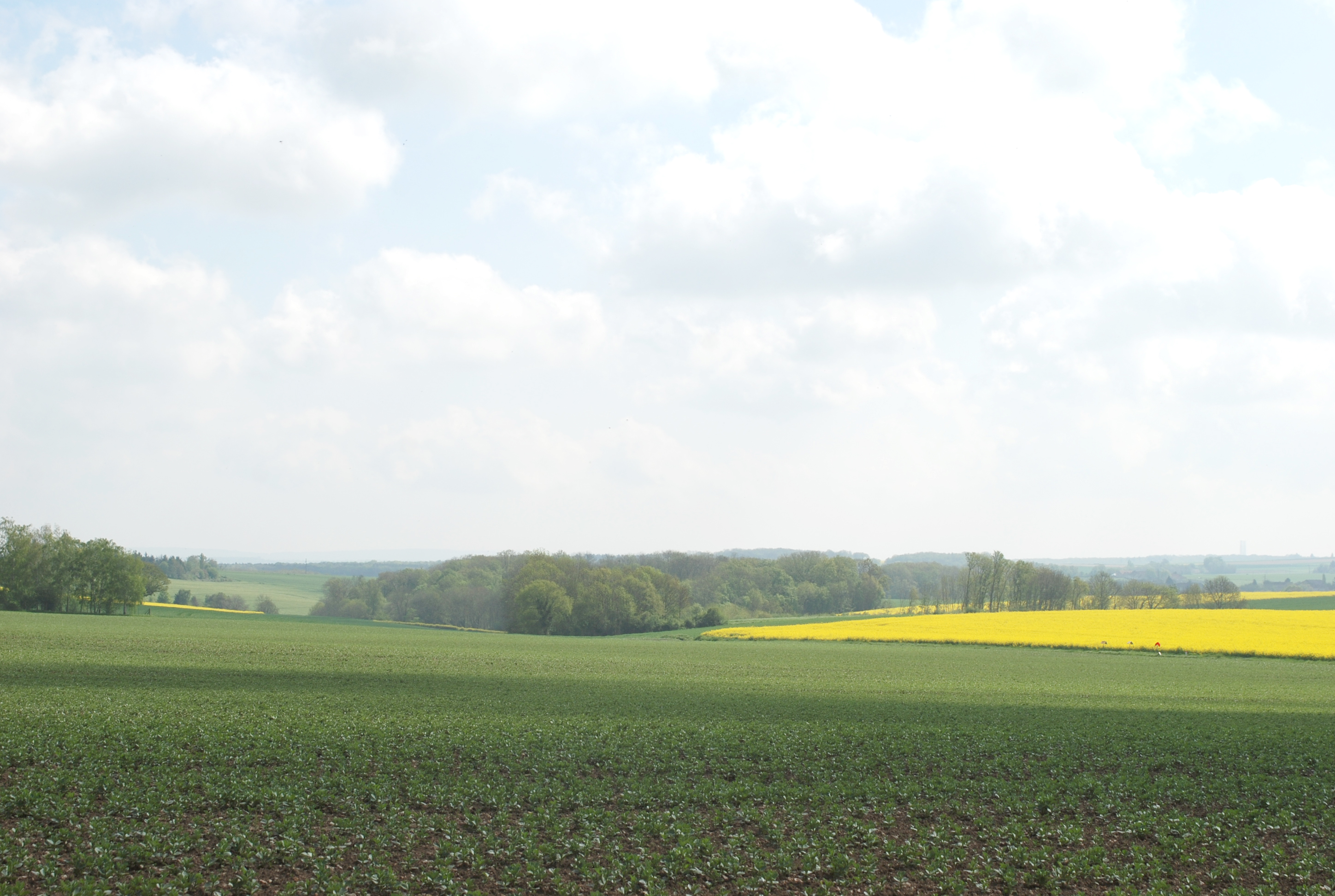 Le plateau du Mantois, ouvert, agricole, bénéficiant d’horizons boisés et doucement ondulé. Ici avec la naissance de l’inflexion de la Vallée aux Peines