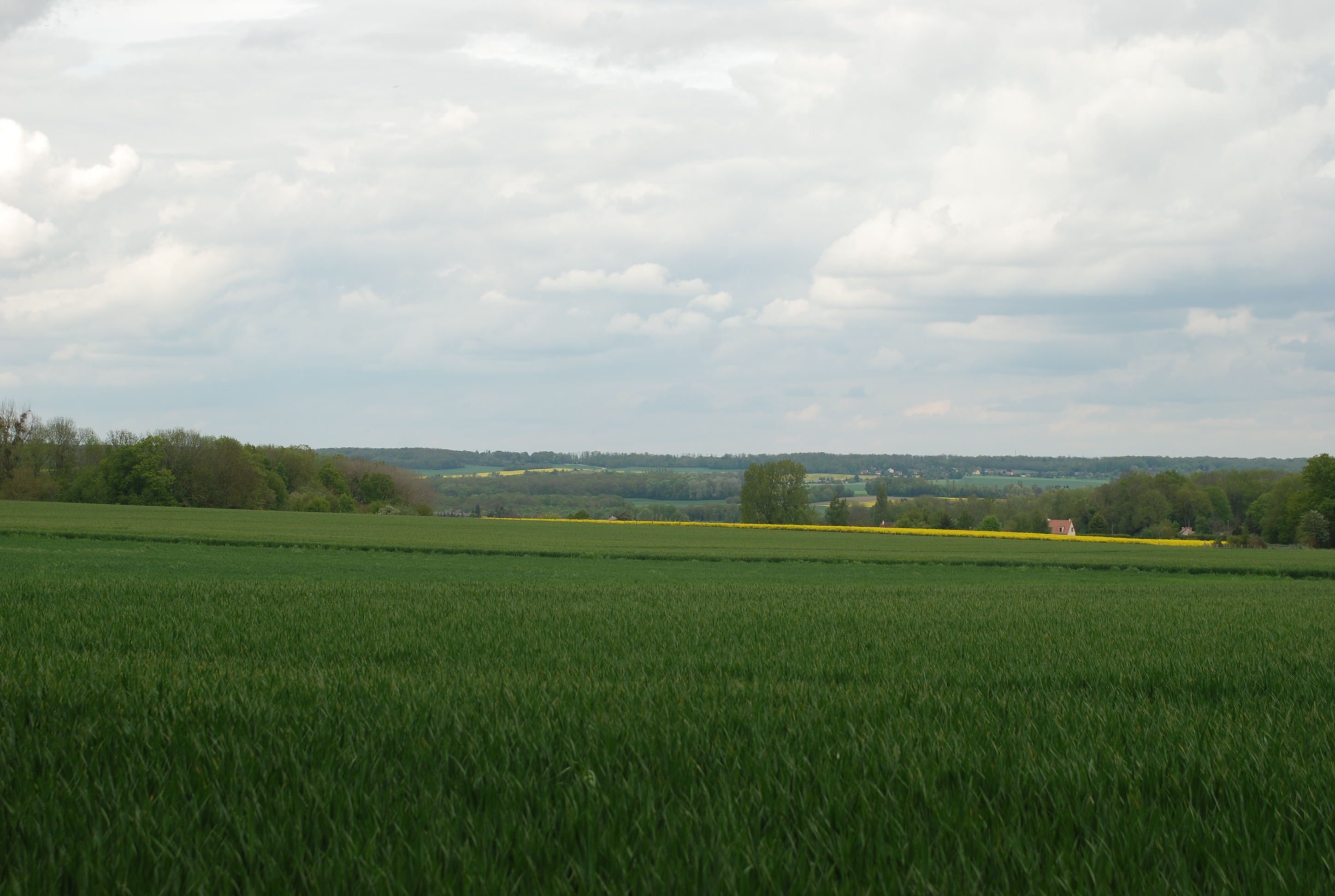 Le plateau du Mantois ouvre de vastes perspectives à la faveur des grandes cultures, mais toujours bordées d’horizons boisés. Ici la longue ride de Thoiry, boisée en crête, dessine un liseré sombre au loin, perceptible depuis les pentes des environs d’Orgerus et de Tacoignières
