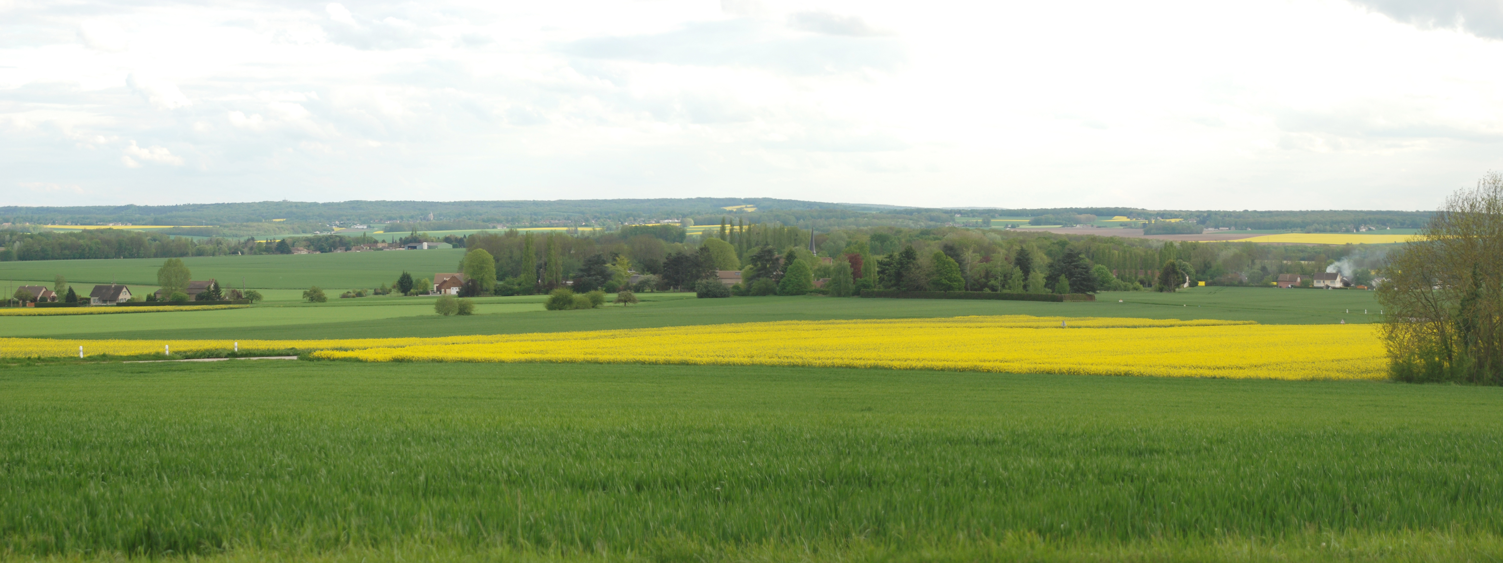 La petite plaine de la rivière Flexanville, vue depuis la ride de Thoiry et cernée à l’horizon par le rebord boisé du plateau d’Yveline (forêt des Quatre Piliers)
