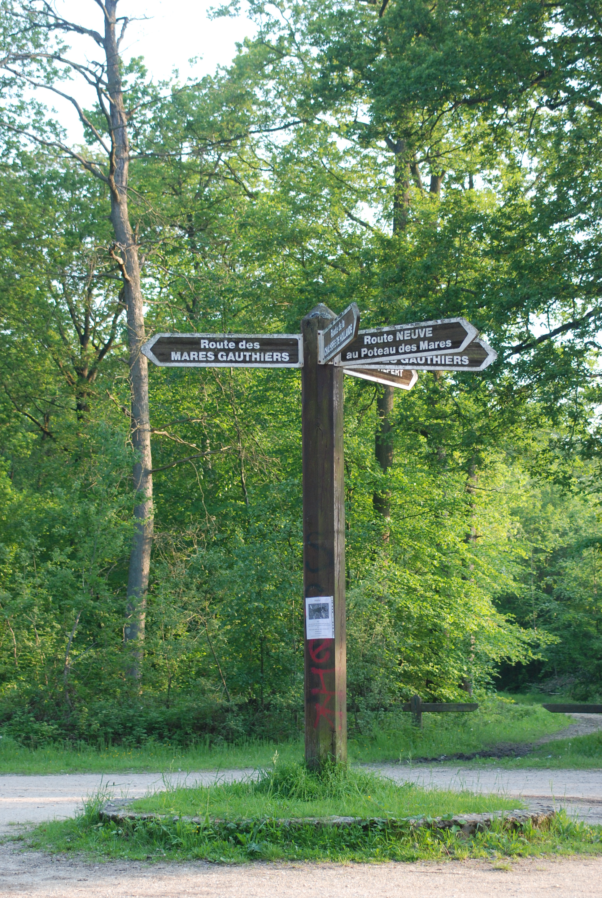 Le carrefour des Mares Gauthier, près de Saint-Léger-en-Yvelines : les carrefours en étoiles témoignent de l’histoire de l’ancienne forêt royale organisée pour la chasse, et organisent de multiples et longues perspectives rectilignes