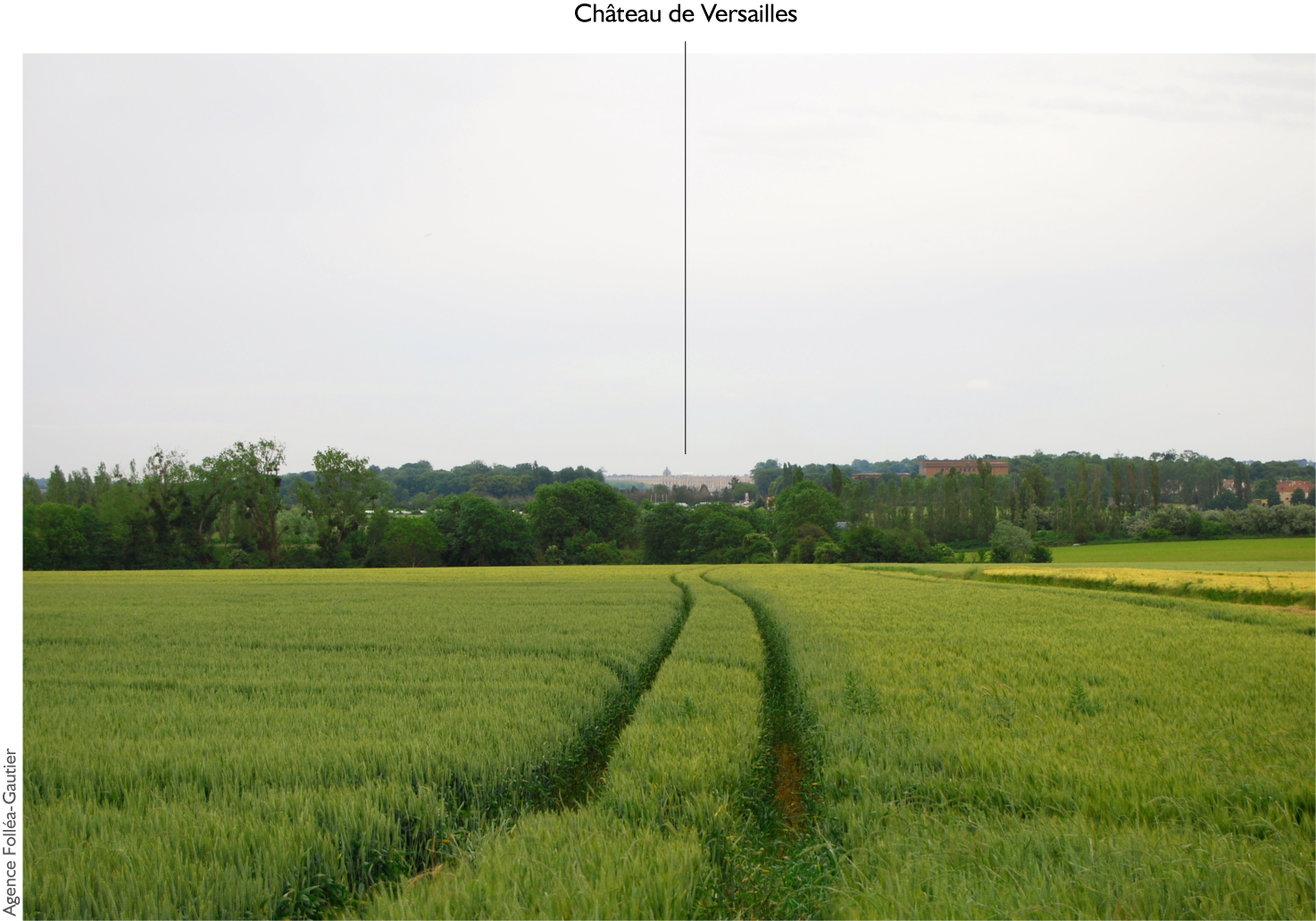 L’ancienne Allée royale de Villepreux, qui prolongeait la perspective du château dans la plaine, sur 5 km pour 90 m de largeur et quatre alignements d’ormes, a perduré jusqu’au XIXe siècle. Il n’en reste aujourd’hui qu’un fragile chemin agricole. Le projet de recomposer l’allée royale est à l’étude depuis plusieurs années