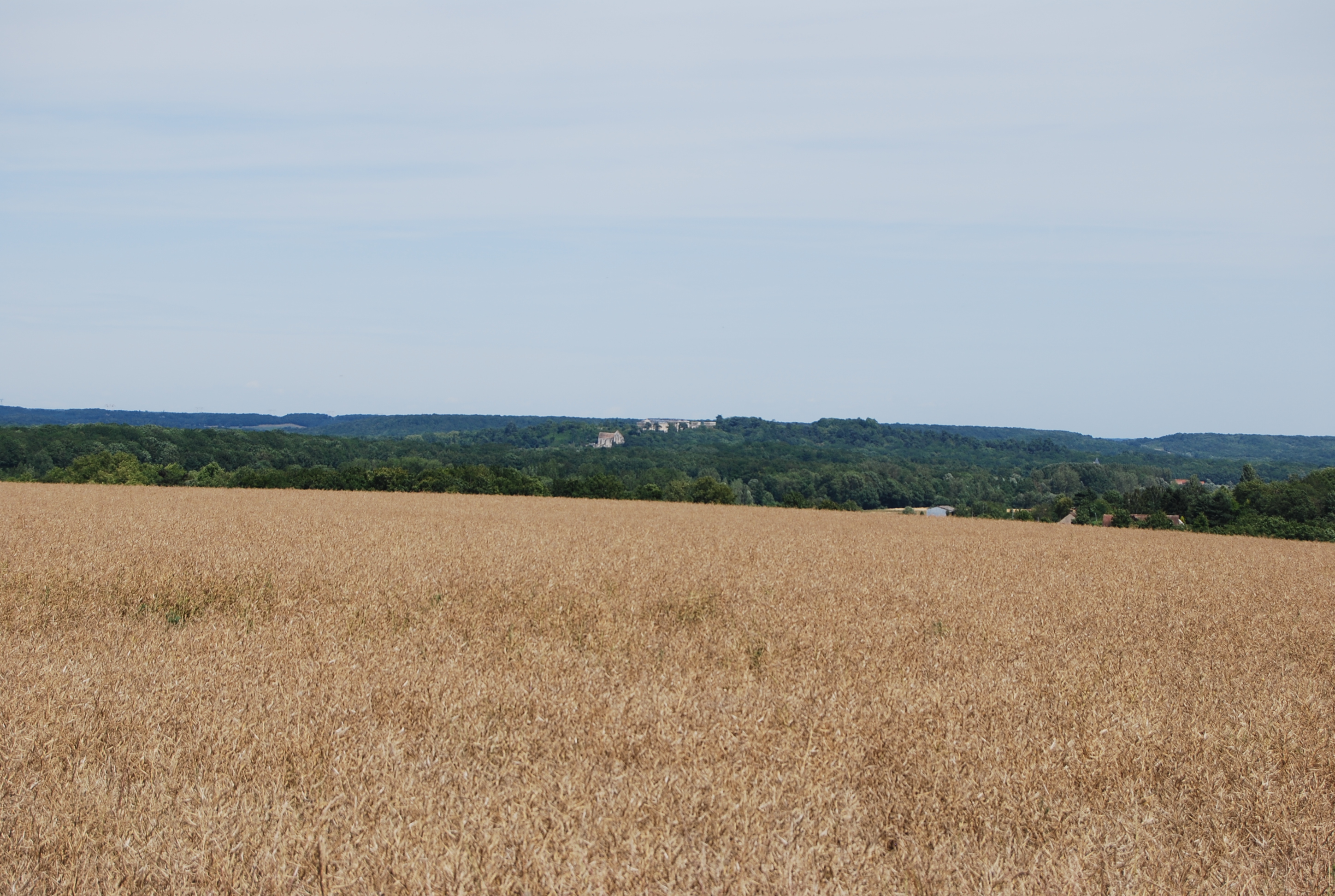 Les étendues forestières ondulées autour de Rochefort-en-Yvelines, dont on aperçoit le château et l’église. Vue depuis les hauteurs de Saint-Arnoult-en-Yvelines