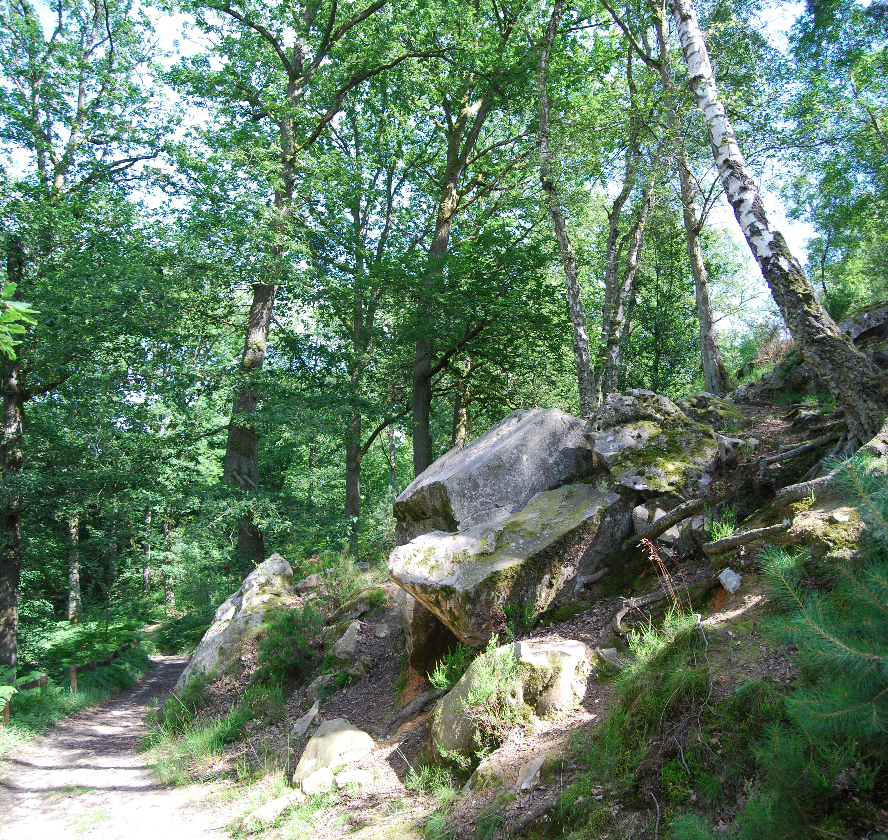 Les Rochers d’Angennes, près de Poigny-la-Forêt