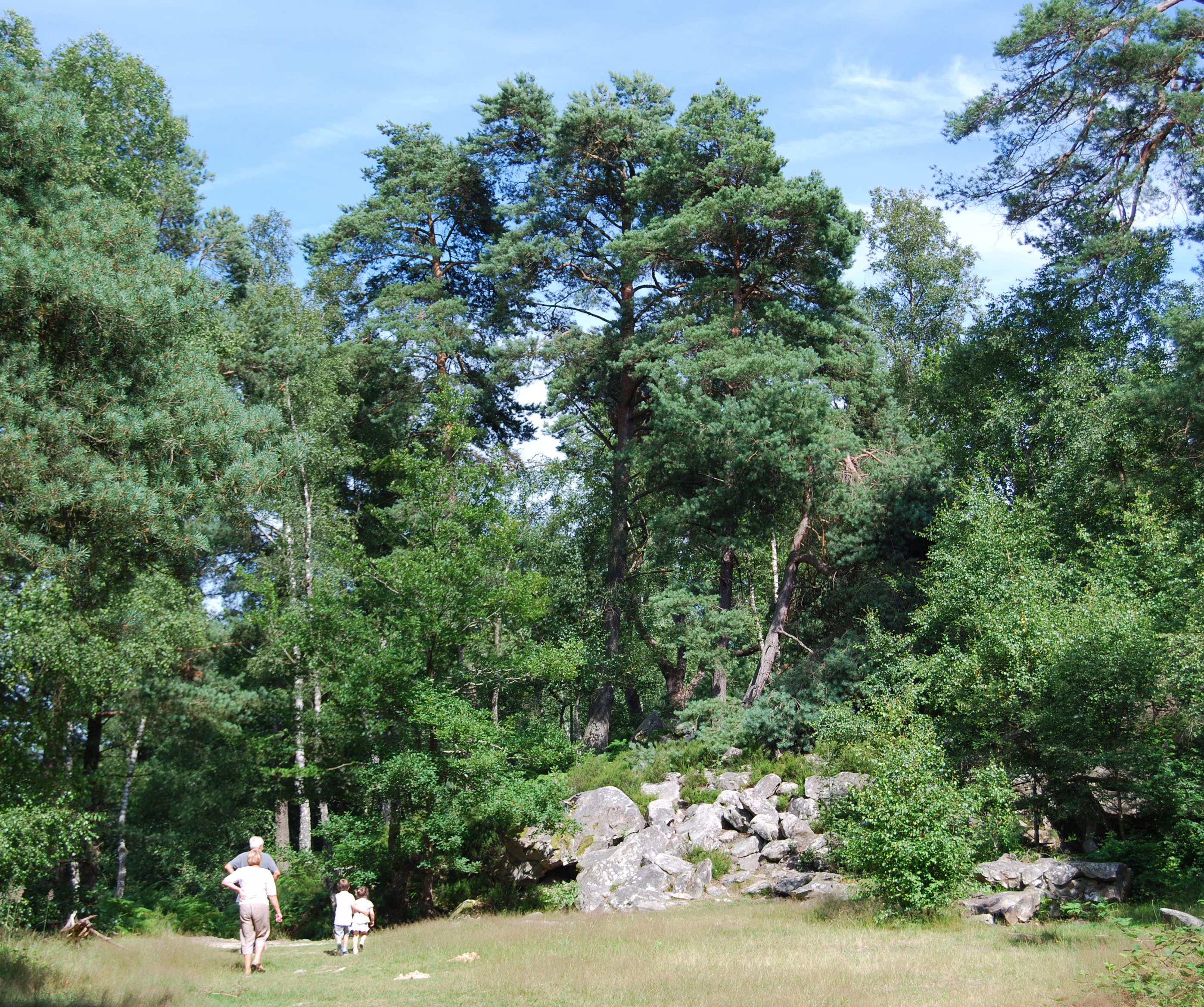 Promeneurs aux Rochers d’Angennes (Poigny-la-Forêt). Les chaos rocheux, curiosité géologique et paysagère, mais aussi sources d’imaginaire et de jeux, contribuent à l’attractivité de la forêt