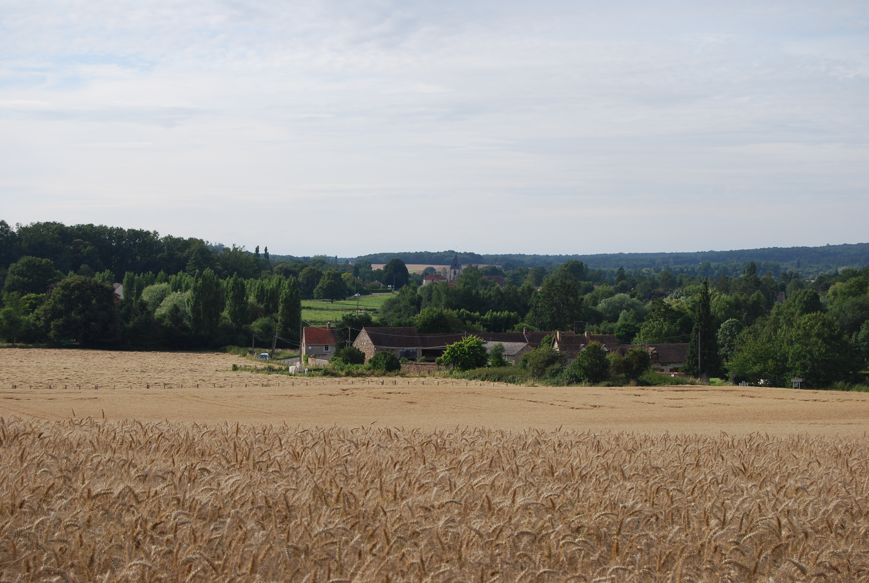 Les élégants mouvements de terrain provoqués par la Vesgre, vers Adainville, aux marges ouest du massif de Rambouilllet