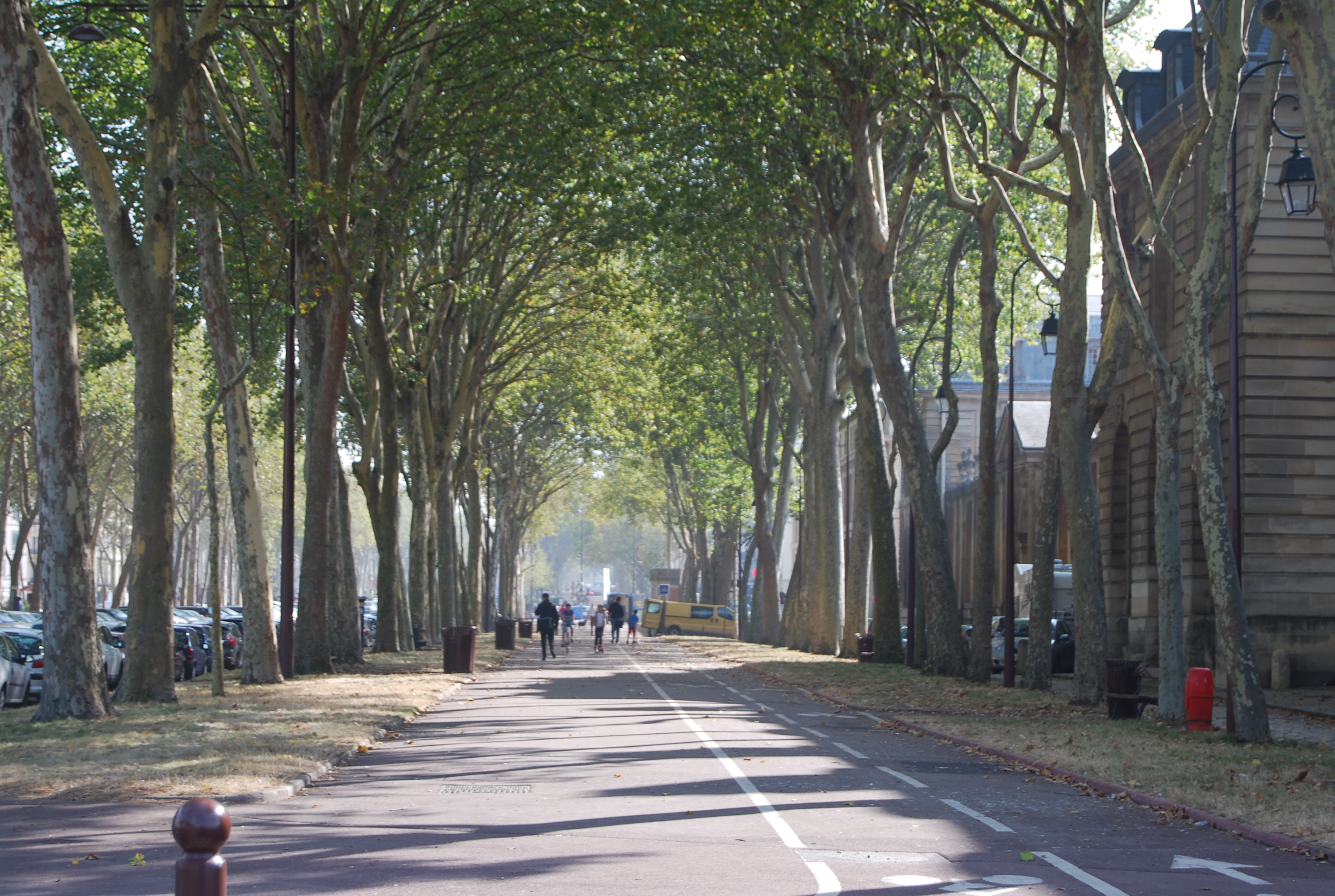Une contre-allée de l’avenue de Saint-Cloud, offrant une ample et confortable perspective pour les piétons et cylclistes, ombragée par les hauts platanes en alignement
